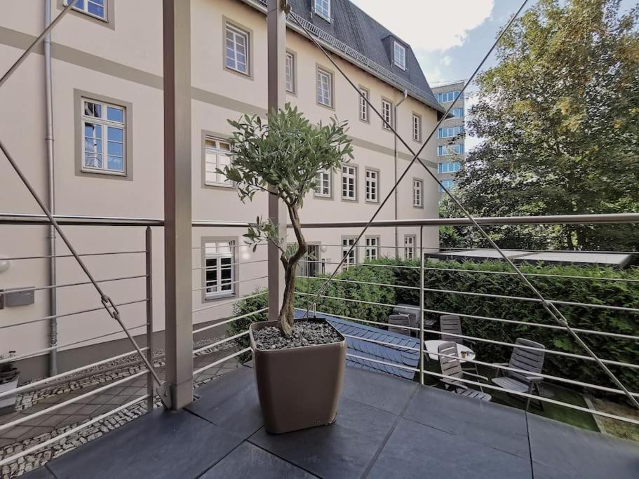 Ferienwohnung Im Bruehl Erfurt Exteriör bild